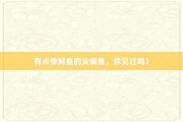 有点像鲟鱼的尖嘴鱼，你见过吗？